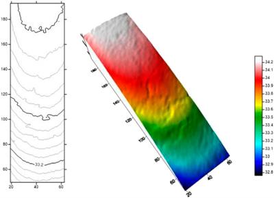 Study on migration law of multiscale temporary plugging agent in rough fractures of shale oil reservoirs